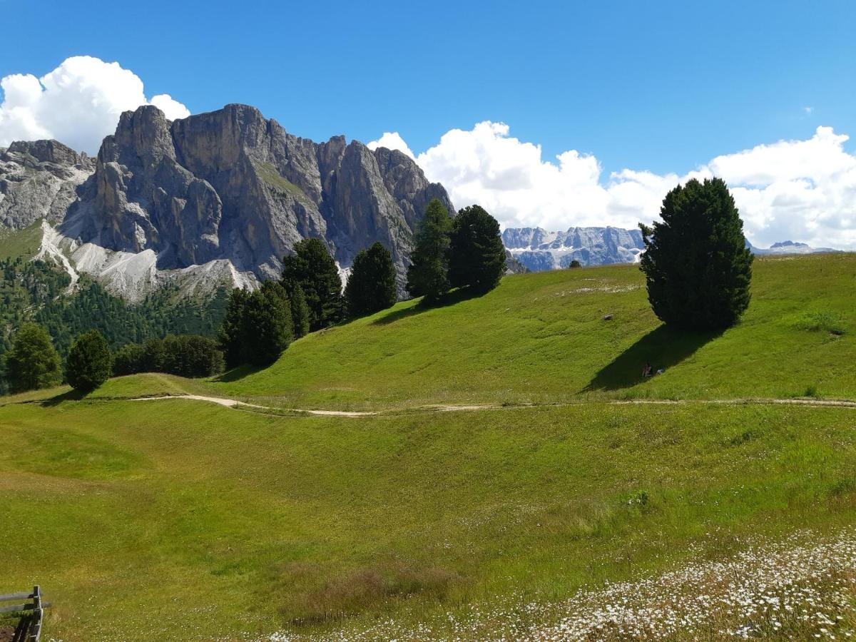 Garni Franca B&B セルヴァ・ディ・ヴァル・ガルデーナ エクステリア 写真