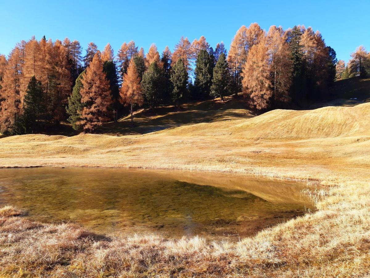 Garni Franca B&B セルヴァ・ディ・ヴァル・ガルデーナ エクステリア 写真